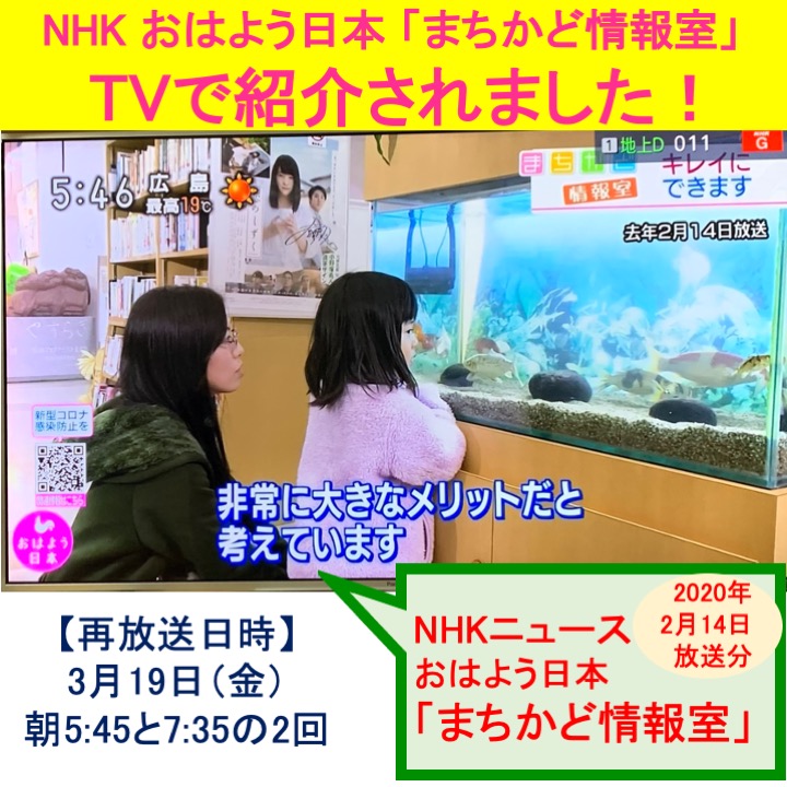 Nhk おはよう日本 で紹介されました 西条庭園 面倒な水替え作業を劇的に軽減 植物と竹炭で水をきれいに 15l スチール 白 枠セット せせらぎビオトープ 水槽用 25cm 送料無料ペット ペットグッズ Nhk Tvで紹介されました 照明あり アクアポニクス