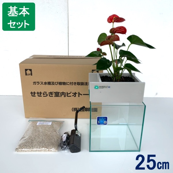 Tvで紹介されました せせらぎビオトープ 水替え不要 基本水槽セット 25cm 水槽用 15l 照明なし Nhk おはよう日本 まちかど情報室 アクアポニクス インテリア 金魚 メダカ 熱帯魚 観葉植物 癒やし 水音 西条庭園 送料無料 Ocrmglobal Com
