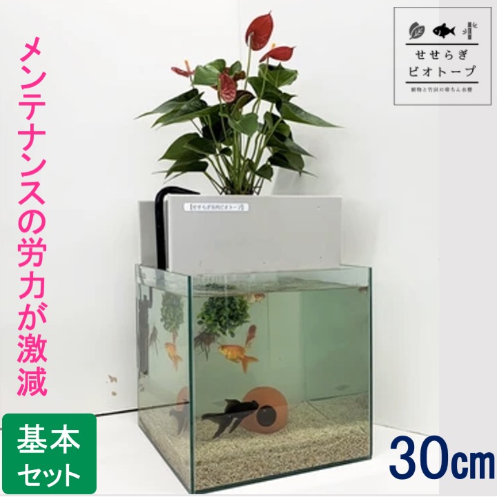 面倒な水替え作業を劇的に軽減 造園屋さんが考えた植物と竹炭の力の手間なし水槽 足し水と数ヶ月に1度の簡易な掃除だけに 27l ｎｈｋ おはよう日本 で紹介されました 観葉植物 アクアポニクス せせらぎビオトープ 水替え不要 Tvで紹介されました 基本水槽