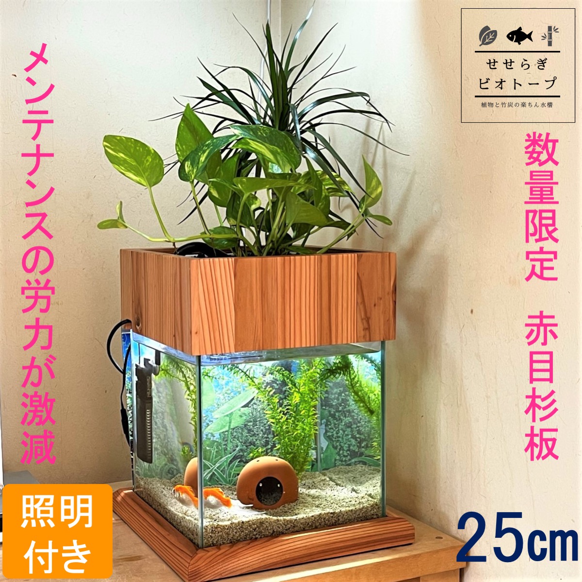 インテリア用木製熱帯魚 - 置物