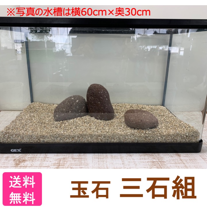 楽天市場 水槽用 石組セット 玉石 三石組 日本庭園 簡単 国産 水槽や砂利はつきません 西条庭園