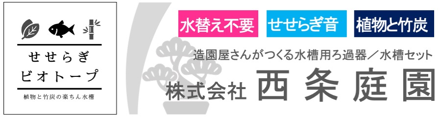 楽天市場 Tvで紹介されました せせらぎビオトープ ろ過器単体ポンプセット 90cm 45cm 2台組み おしゃれ フィルター ポンプ 金魚 メダカ 熱帯魚 水替え 観葉植物 癒やし インテリア 西条庭園 アクアポニクス せせらぎビオトープ 西条庭園