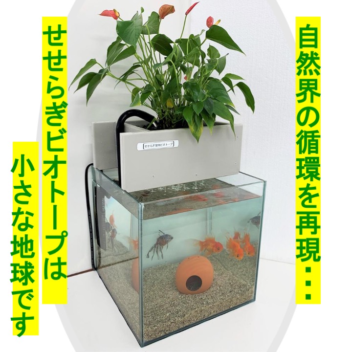 ろ過装置単体 をポンプとセツト販売 お手持ちの水槽に合わせてご利用ｏｋ 金魚や熱帯魚と観葉植物が一度に楽しめて インテリアにもピッタリ 面倒な水替えがなんと不要 ろ過器単体ポンプセット cm 水替え不要 西条庭園 おしゃれ ポンプ 金魚 インテリア 熱帯魚 水