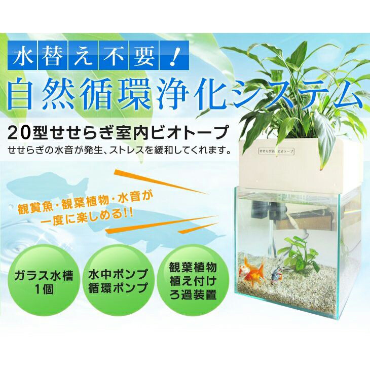 楽天市場 送料無料 水替え不要水槽 せせらぎ室内ビオトープ 20cm型 8l 基本水槽セット 金魚や熱帯魚の水槽にピッタリ 観葉植物が水 をキレイにします 西条庭園