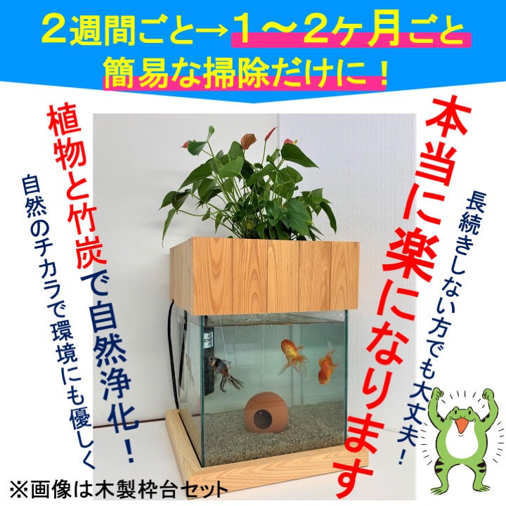 30cm型 27l 水槽セット 濾過 木製枠台セット その他 ろ過装置 ろ過器 基本水槽セット 照明 ろ過 木製枠台 金魚 おしやれ 濾過 ろ過 水替え不要 観葉植物 インテリア 水音 西条庭園 せせらぎビオトープ フィルター 西条庭園面倒な水替え作業を劇的に軽減 造園 30cm型 27l 水槽セット 濾過 木製枠台セット その他 ろ過装置 ろ過器 基本水槽セット 照明 ろ過 木製枠台 金魚 おしやれ 濾過 ろ過 水替え不要 観葉植物 インテリア 水音 西条庭園 せせらぎビオトープ フィルター 西条庭園面倒な水替え作業を劇的に軽減 造園