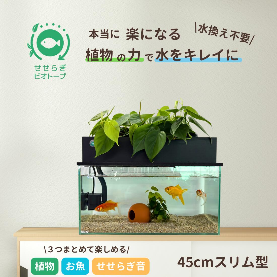 楽天市場】【TVで紹介されました】［水槽は付きません］ 水換え不要