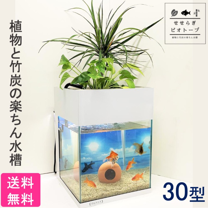 せせらぎビオトープ 27l フィルター 西条庭園面倒な水替え作業を劇的に軽減 造園屋さんが考えた植物と竹炭の力の楽ちん水槽 足し水と数ヶ月に1度の簡易な掃除だけに スチールカバー 西条庭園 スチール枠セット 観葉植物 30cm型 水替え不要 濾過 ろ過装置 せせらぎビオトープ 27l フィルター 西条庭園面倒な水替え作業を劇的に軽減 造園屋さんが考えた植物と竹炭の力の楽ちん水槽 足し水と数ヶ月に1度の簡易な掃除だけに スチールカバー 西条庭園 スチール枠セット 観葉植物 30cm型 水替え不要 濾過 ろ過装置