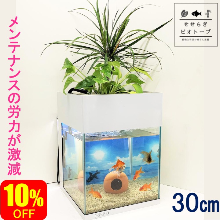 10 Off 観葉植物 水槽セット スチール枠 照明 水替え不要 30cm 水槽 水槽 27l おしゃれ コトブキ工芸 フィルター ポンプ 金魚 メダカ 熱帯魚 水替え 観葉植物 癒やし インテリア 西条庭園 せせらぎビオトープ コトブキ工芸 クリスタルキューブ300 西条庭園面倒な水替え