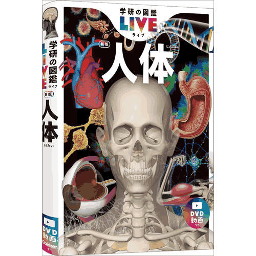 人体の不思議展 41VgODIoOXL._AC_SY200_QL15_.jpg