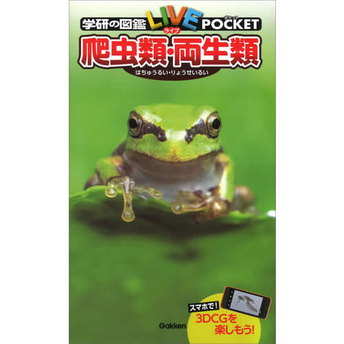 楽天市場】【飼育キット】【実験】ハピネット 海の動物園! シー