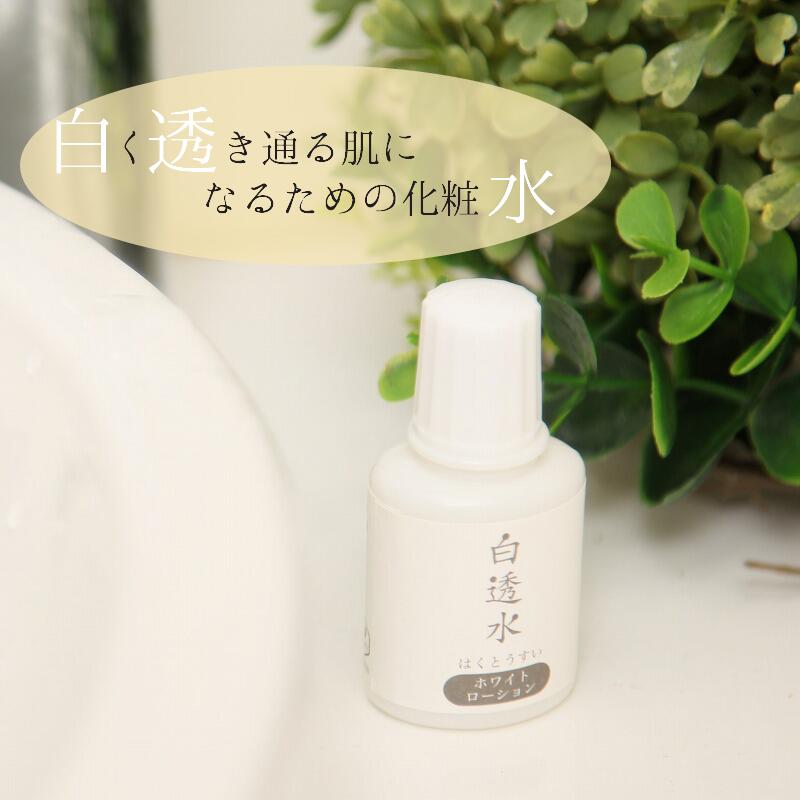 楽天市場】EC 水素イオンジェル （120ml） ミネラル ジェル 水素