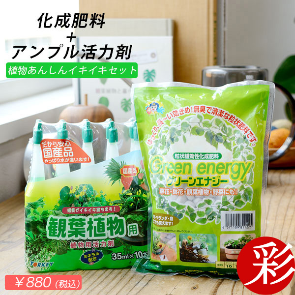 楽天市場】水さし（大） 1L 目盛りがついて肥料やりにも使いやすい♪じょうろ 同梱可能 水差し みずさし 水挿し ピッチャー おしゃれ プラスチック  観葉植物 : 観葉植物の専門店 彩植健美