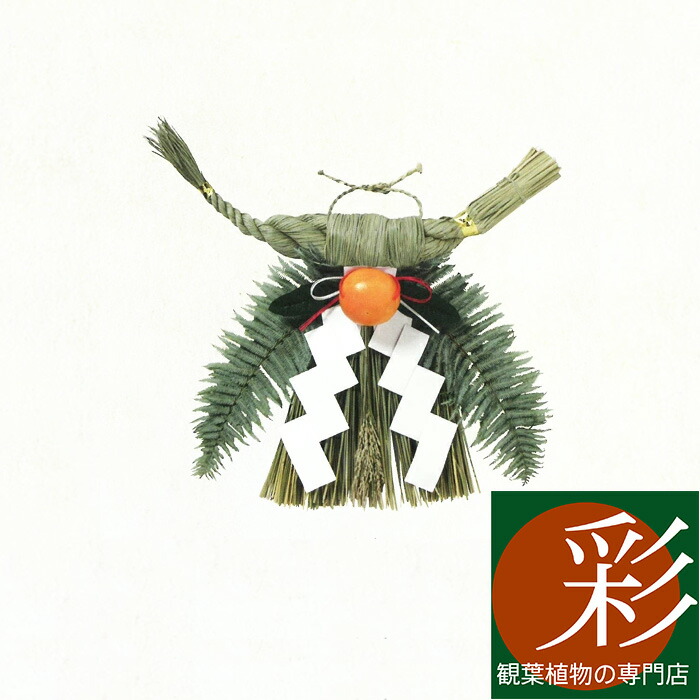 楽天市場】しめ縄 (大) 関西向け しめなわ 玄関用 天然本わら使用 無