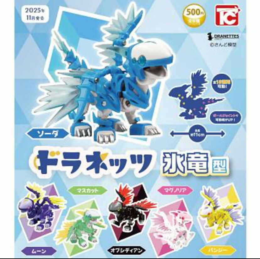 楽天市場】ドラネッツ Vol.3 飛竜型 全6種セット（フル