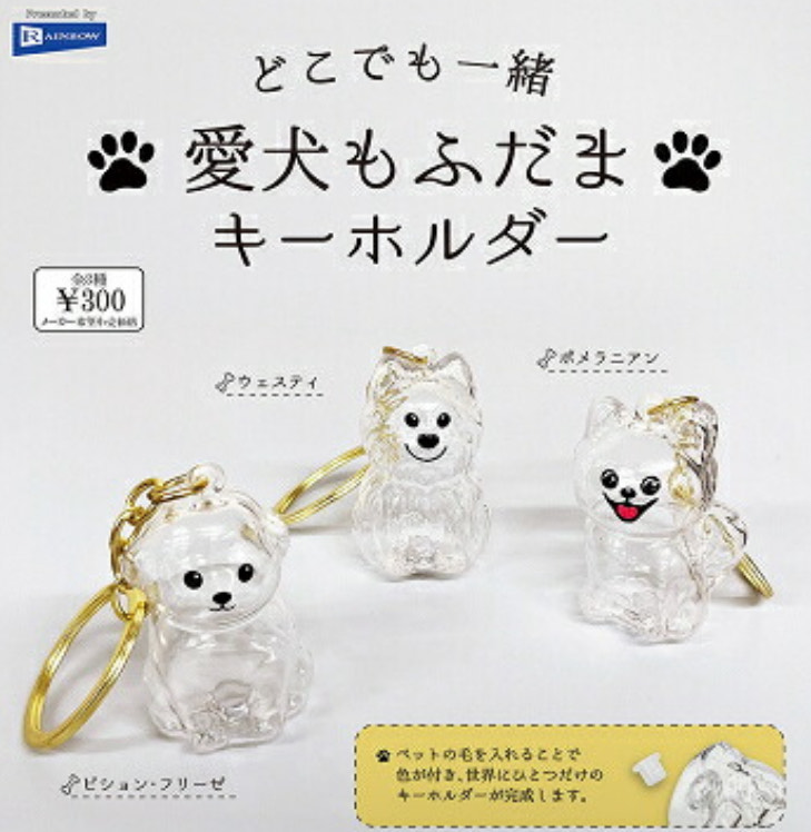いちご‪☆  タイムカプセル1面 メーカー終売 世界に一つだけの時缶 50個(1c/s)(2392350) タイム