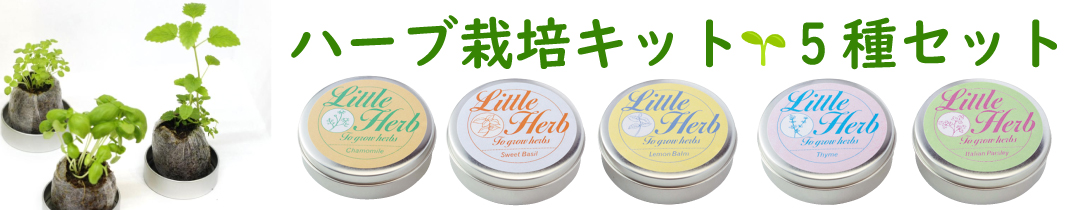 楽天市場】【ボディ&フェイス用マッサージ料】GAVACHO THE CARE SCRUB