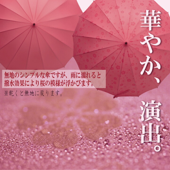 楽天市場 傘 16本骨傘 レディース 雨に濡れると浮き出る桜柄 16本骨の桜傘 彩都webstore