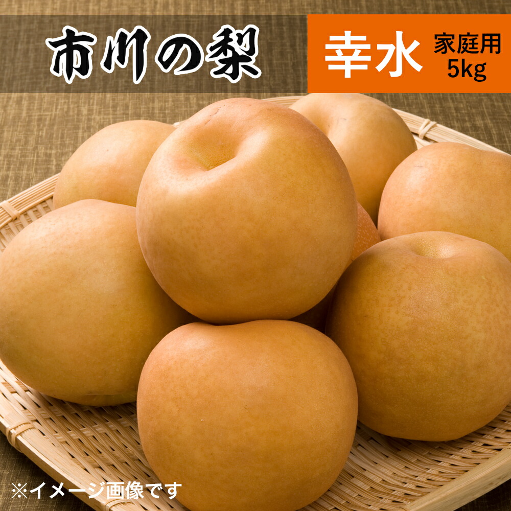 green　幸水梨 香取市産水郷梨」幸水1箱約3kg(8玉～10玉入り) | 千葉県香取市