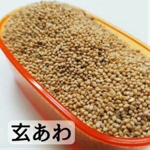 【楽天市場】玄あわ 500g あわ アワ 粟 玄粟 雑穀 皮付き 皮付きシード 文鳥おやつ 小鳥おやつ キンカチョウ オカメインコ セキセイ ...