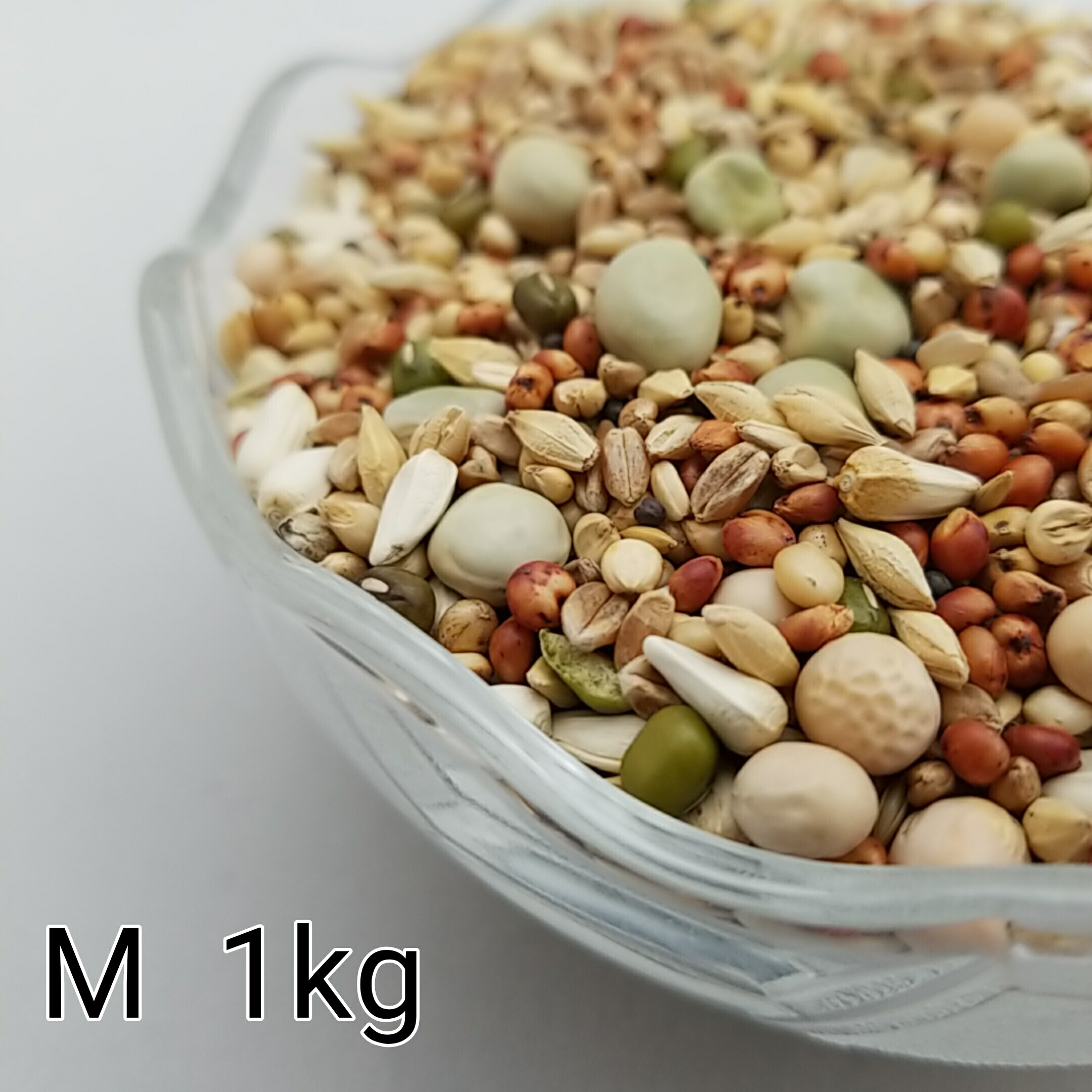 楽天市場 鳩のえさ 特別配合 M 500g 鳥 餌 ペット 小動物 えさ エサ 鳩 ハト はと ハムスター 鳩の餌 はとのえさ ごはん おやつ おすすめ お勧め サイトウ コーポレーション