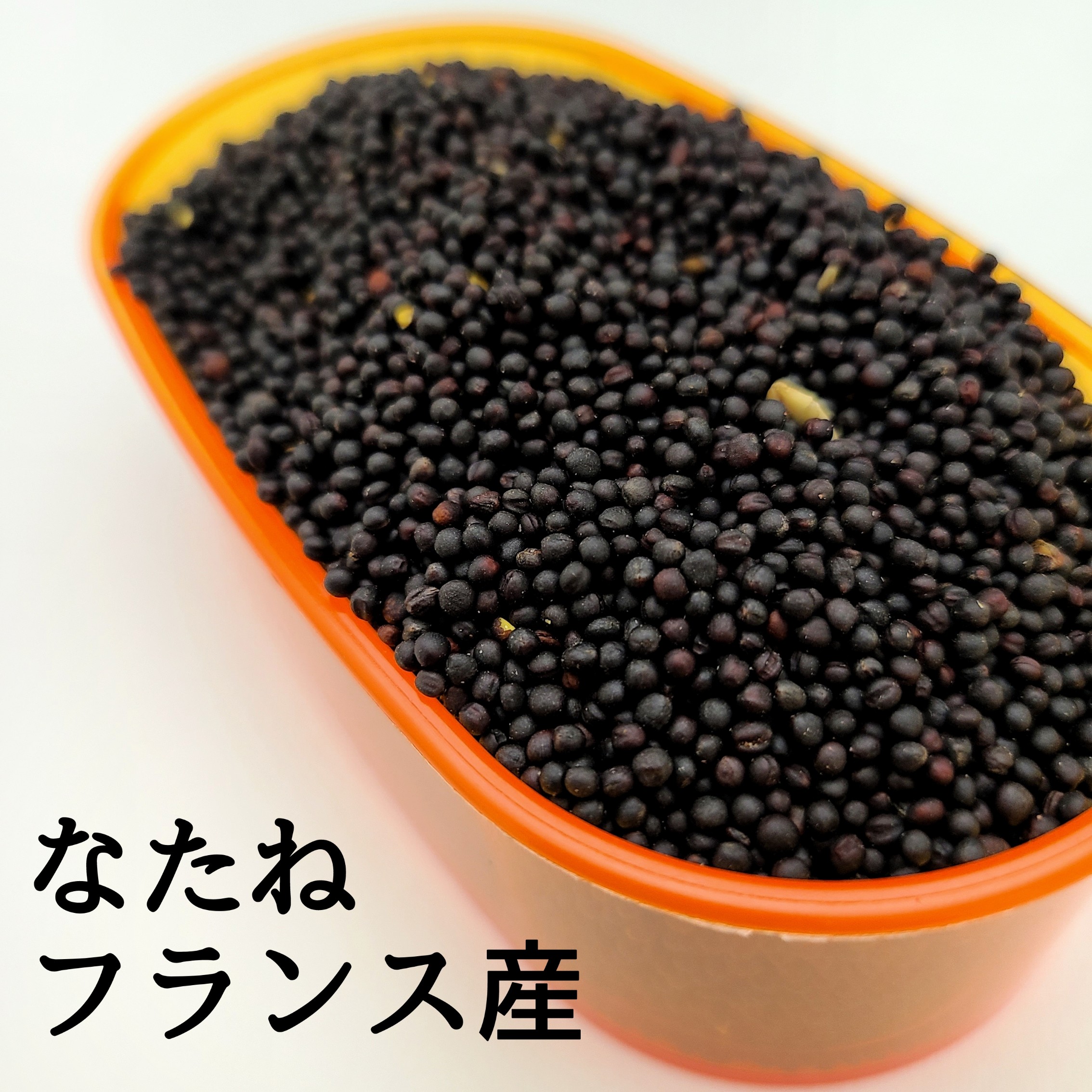 なたね 楽天市場】なたね フランス産 800g 菜種 Rapeseed ナタネ セキセイ