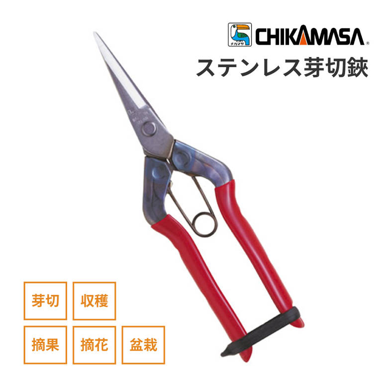 近正　摘果鋏　【25本セット】　チカマサ Amazon | 近正(Chikamasa) チカマサ 青果鋏 T-700 | 園芸用はさみ