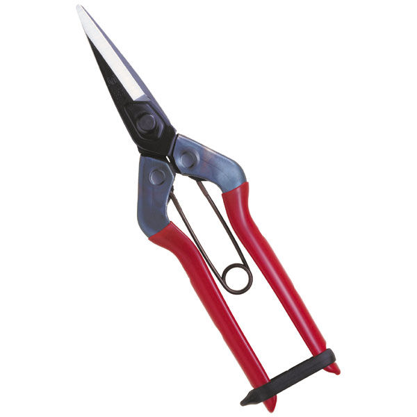 チカマサ　近正　青果鋏　【132本セット】ストッパーなし（破損） 4967645031409.jpg