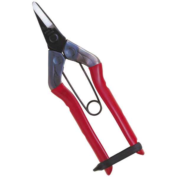 チカマサ　近正　青果鋏　ストッパーなし 31本セット チカマサ 近正 青果鋏 ストッパーなし 31本セット