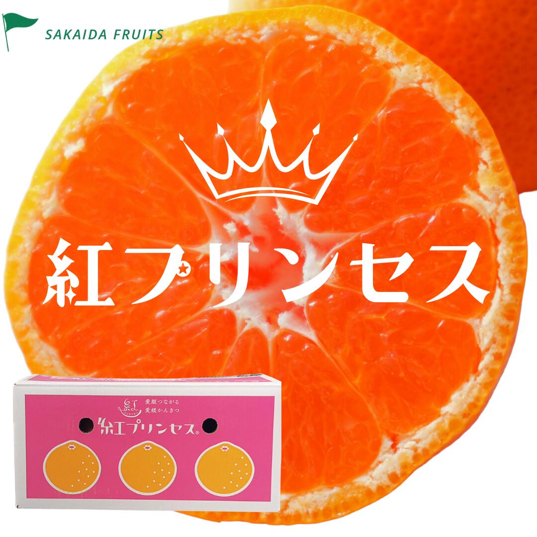 中島プリンセス 愛果48号 秀品 紅プリンセス同品種 小玉多め 10kg 中島