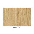 大建工業 スイッチプラス スタンディンク用゛デスク MA ライトオーカー FLC4HB-067MA「沖縄・離島、送料別途見積り」 firs