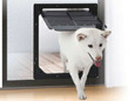 ダイオ化成 網戸専用犬猫出入り口 中型犬用　PD-3742 firs