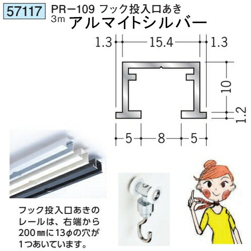創建 SOKEN 57117 アルミ ピクチャーレール ビス止めタイプ PR-109フック投入口あき 長さ：3m 色：アルマイトシルバー 　個数：1個　送料無料　★法人様限定