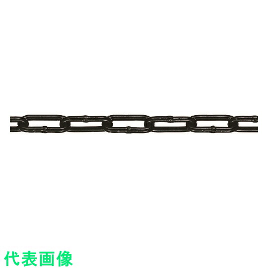 21472円 価格 水本 チューブ保護アルミカラーチェーン ブラック 6HALC−BK 12.1〜13m 〔品番:6HALC-BK-13C〕