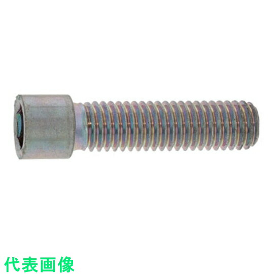 ＳＵＮＣＯ ステンレス 小頭ＣＡＰ ４×１６ １０００本入 〔品番:A0-02