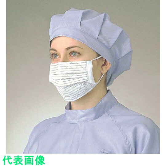 ゴールドウイン ヘパマスク白 《10入》〔品番:PA2101-W〕「送料別途見積り,法人・事業所限定,取寄」