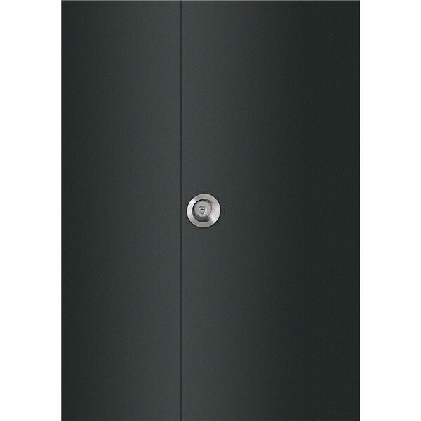 ユニオンドアハンドル　掘込タイプ　品番：ULS2810-01-010　(直送品)