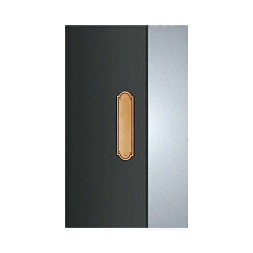 ユニオンドアハンドル　プレートタイプ　品番：T21064-10-001　(直送品)
