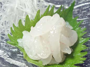 楽天市場 富山県名産 白海老むき身 刺身用 さかなのデパート三栄