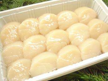 ムキホタテ貝「生500ｇ」