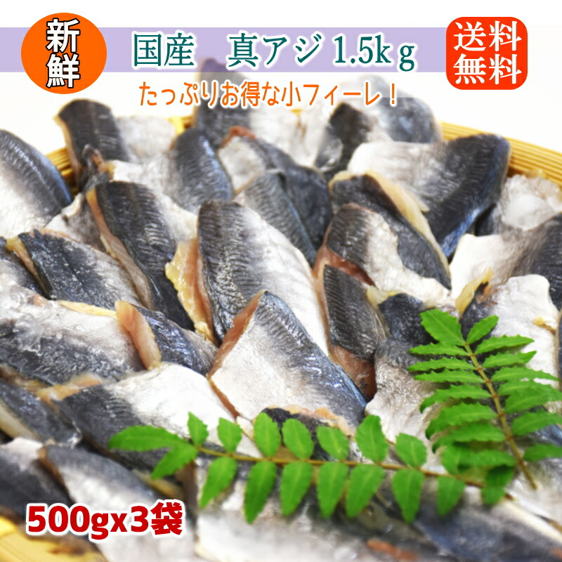 国産  無塩 マアジ フィーレ たっぷり1.5kg ( 500g x3パック/約99枚) 腹骨取り 訳あり 小さいサイズ 冷凍 アジ 鯵 骨取 切身 業務用 加熱用 あじ 冷凍食材 まとめ買い 大量 南蛮漬け アジフライ 夕飯 朝食 お弁当