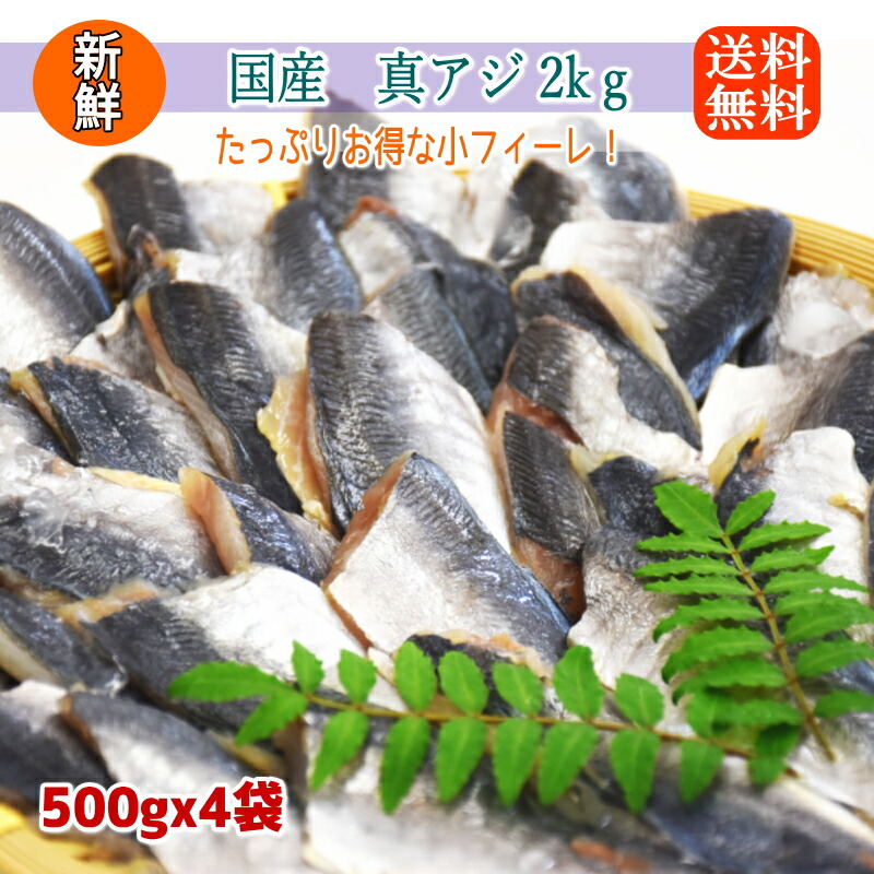 国産  無塩 マアジ フィーレ たっぷり2kg ( 500g x4パック/約132枚) 腹骨取り 訳あり 小さいサイズ 冷凍 アジ 鯵 骨取 切身 業務用 加熱用 あじ 冷凍食材 まとめ買い 大量 南蛮漬け アジフライ 夕飯 朝食 お弁当