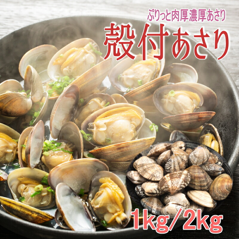 楽天市場】【楽天スーパーSALE価格 1,300円⇒1,000円】【同梱おすすめ