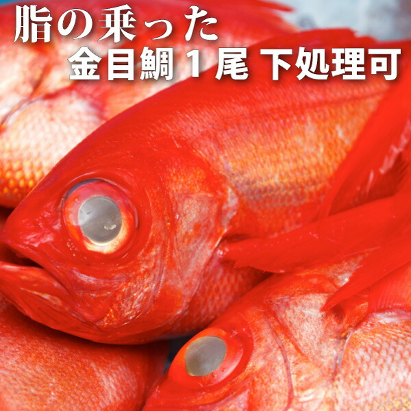 お好みのカットでお届け！＜金目鯛（きんめだい・キンメダイ）1尾約1kg＞お祝いごとにも！【入荷不安定の為、お届けにお日にちを頂く場合があります】【冷凍便同梱可】【ギフト】
