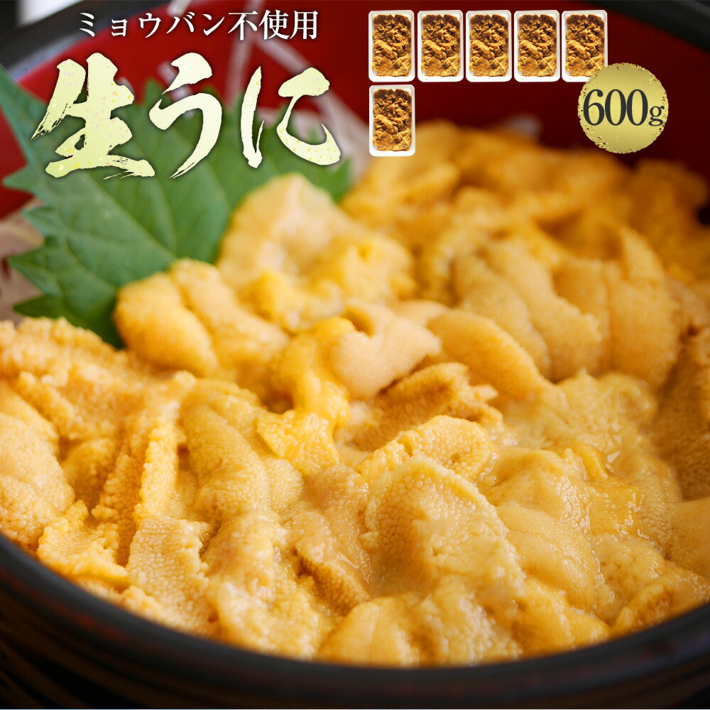 新作通販 うに 生うに 100ｇ×6 600ｇ チリ産 ウニ 雲丹 fucoa.cl