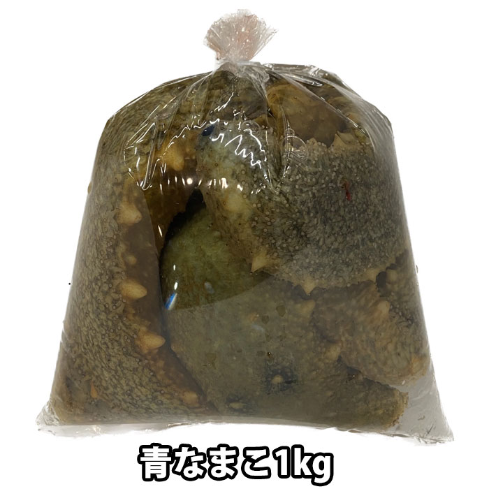 楽天市場 タイムセール 青なまこ 1kg 愛媛県産など 活き 生き ナマコ 海鼠 冷蔵便 三丁目横丁