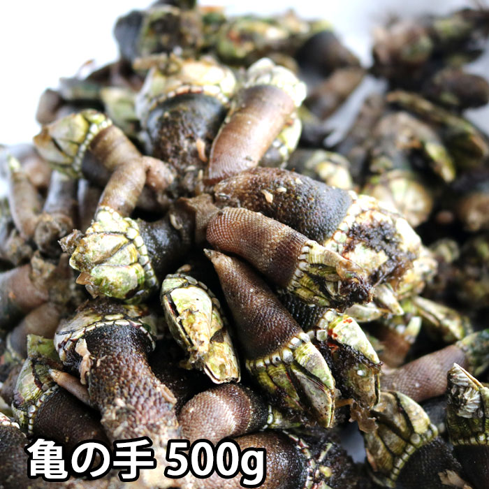 楽天市場】瀬戸内産 天然サザエ( 1個約80-100g)X1kg~4kg 楽天市場】瀬戸内産 天然サザエ( 1個約80-100g)X1kg~4kg