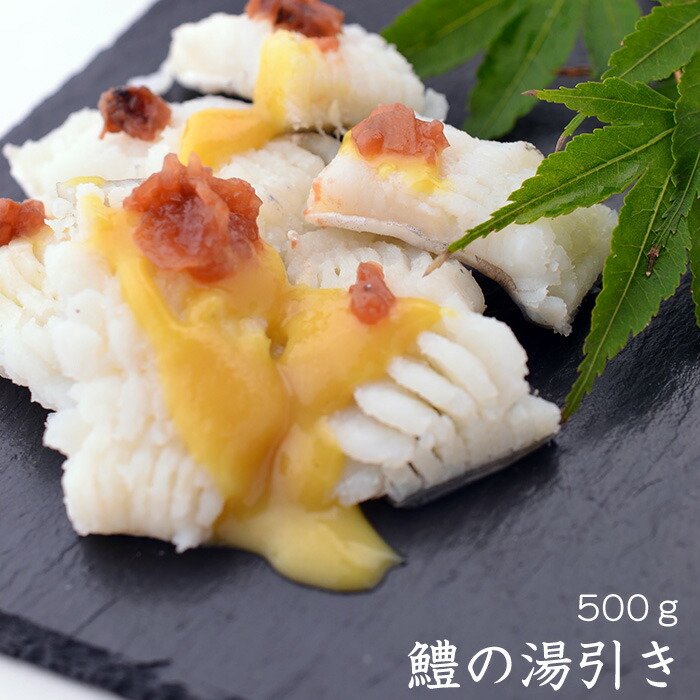 楽天市場 瀬戸内産 鱧の湯引き 500g 和風酢味噌ドレッシング付 はもハモ 冷蔵便 はもちり 落とし 湯引き しゃぶしゃぶ はもすき 唐揚げ 天ぷら 祭鱧 まつりはも ギフト プレゼント お中元 酢味噌 和風 味噌 みそ 広島中央卸売市場 草津港 三丁目横丁 三丁目横丁