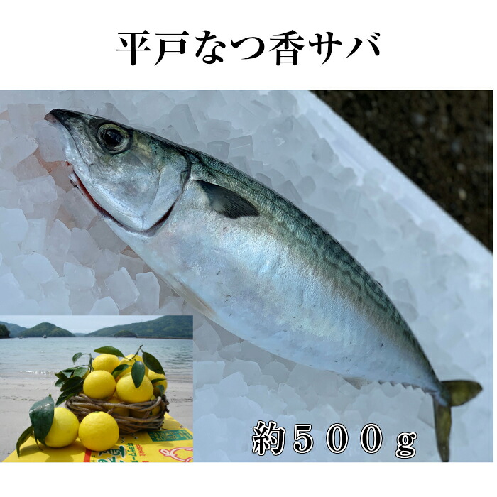 青天井料亭 に出た フルーツ魚肉 貨物輸送無料 平戸なつ馨りサバ 無慮500g 1尾っぽと平戸なつ香ブリ 半身 無意味さ包 あら0 刺身 で 1kg フィーレ 長崎を代表例致す フルーツ 魚 鰤 鯖 サバ 活〆 ブリ ハマチ 青空レストラン ブラザー Hiksudan Com