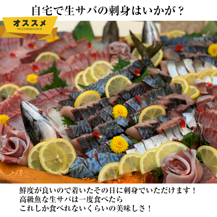 海外 青空レストラン に出た フルーツ魚 送料無料 平戸なつ香サバ 約500ｇ 8尾 長崎 を代表する 調理しやすいように内臓を出して発送します サバ 鯖 刺身 生サバ ゴマサバ 活〆 みかん オレンジ ブリ 兄弟 養殖 Fucoa Cl