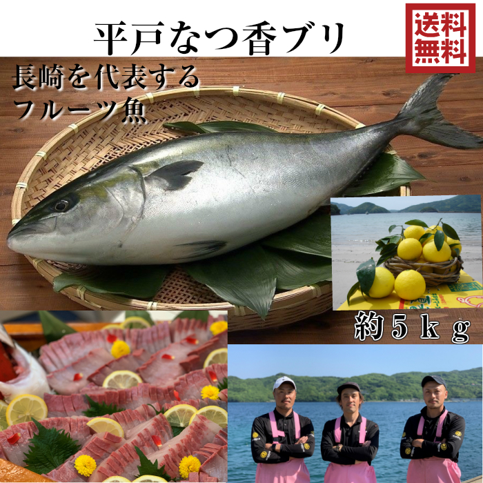 楽天市場 青空レストラン に出た フルーツ魚 送料無料 平戸なつ香 ブリ 約5ｋｇ 長崎を代表する フルーツ 魚 調理しやすいように内臓を取り除いて発送します 鰤 活〆みかん オレンジ 兄弟 坂野水産 楽天市場店